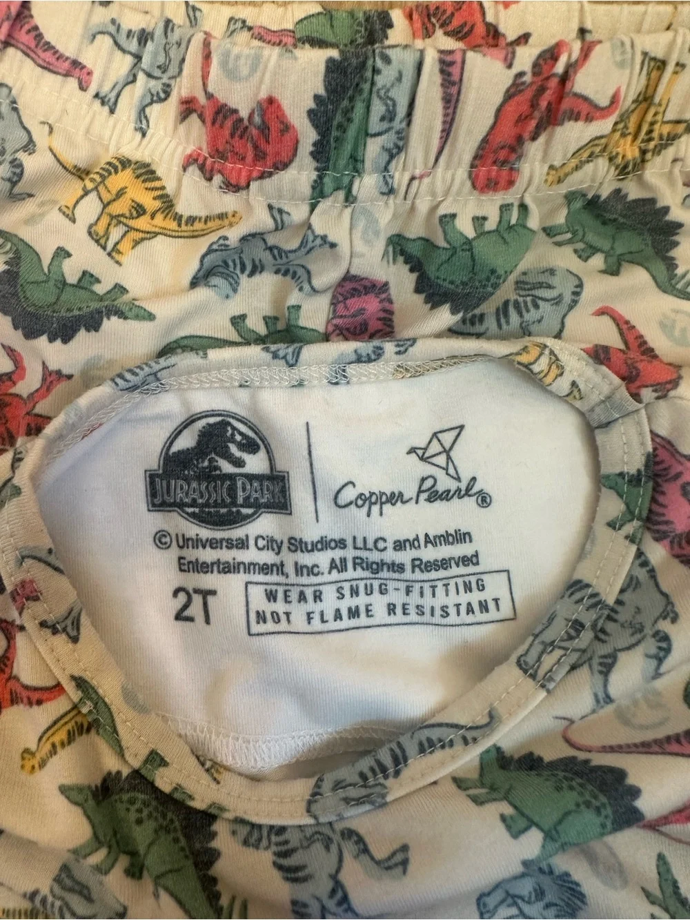 Copper Pearl Jurassic Park Kids Dinosaur Pajama Set - Multicolor Dino Print